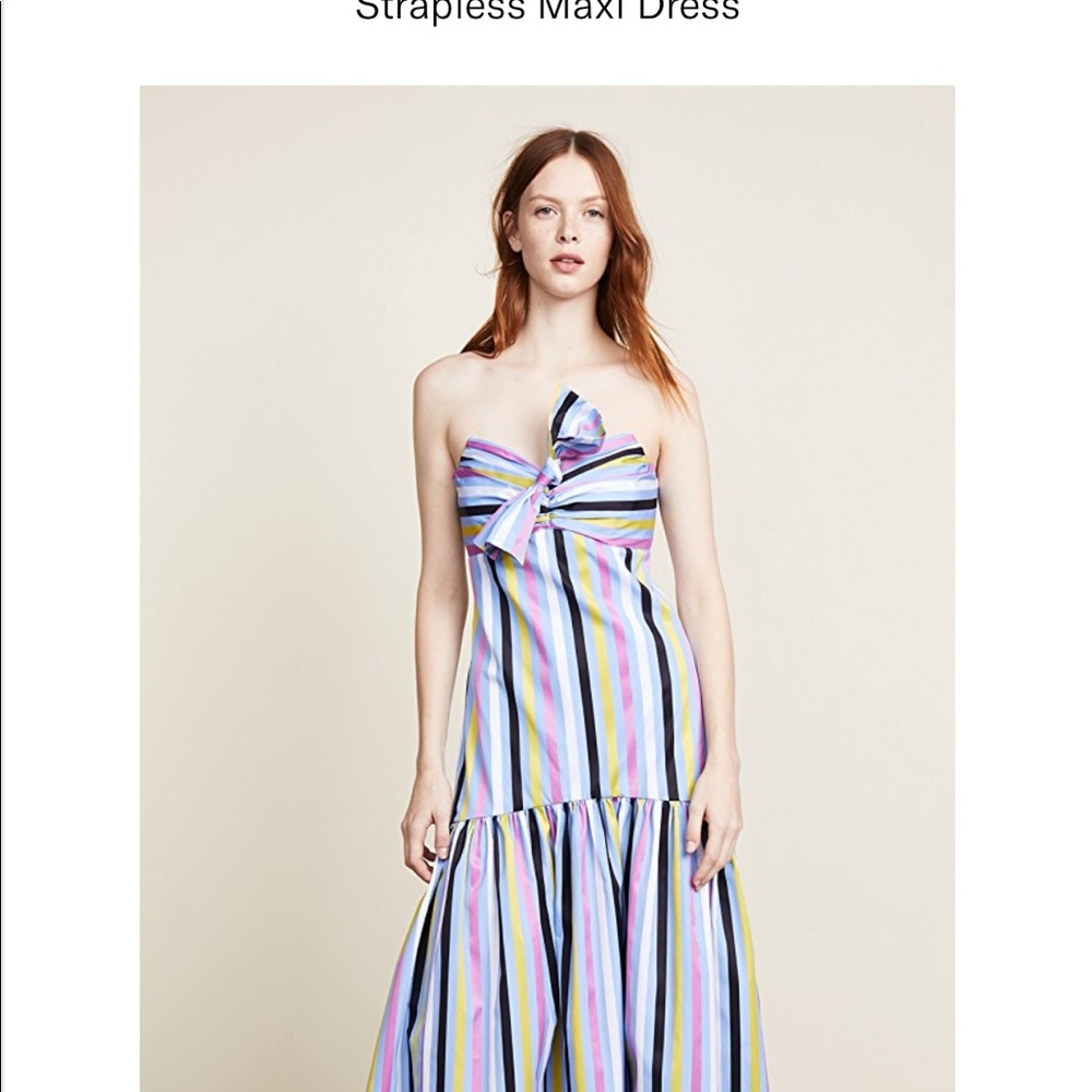 Caroline Constas strapless maxi dress